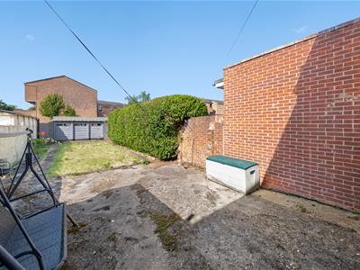 Picture 12